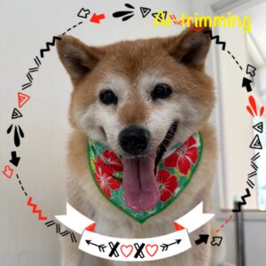 7/19