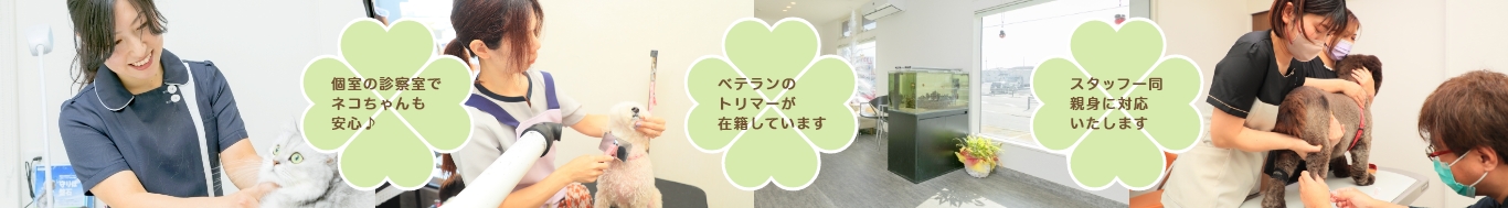 個室の診察室でネコちゃんも安心 ベテランのトリマーが在籍しています スタッフ一同親身に対応いたします