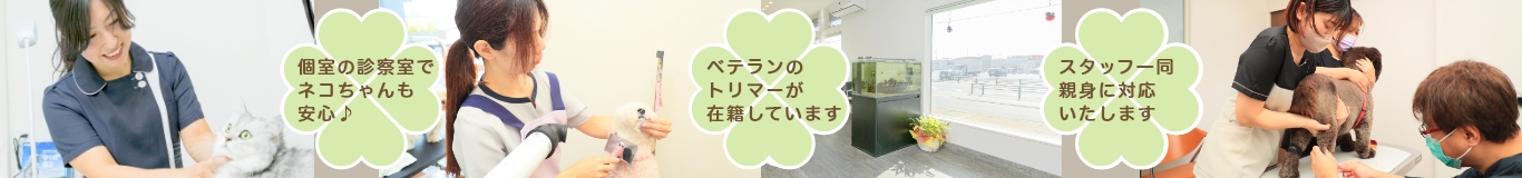 個室の診察室でネコちゃんも安心 ベテランのトリマーが在籍しています スタッフ一同親身に対応いたします